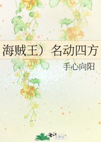 《海贼王)名动四方》