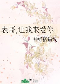 《表哥,让我来爱你》