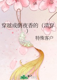 《穿越成倒夜香的(清穿)》