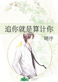 《追你就是算计你》