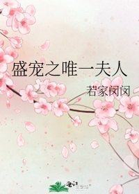 《盛宠之唯一夫人》