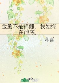 金鱼不是锦鲤，我始终在池底。