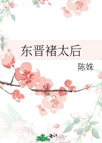 《东晋褚太后》