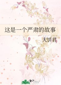《这是一个严肃的故事》