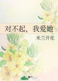 《对不起,我爱她》
