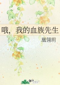 《哦,我的血族先生》