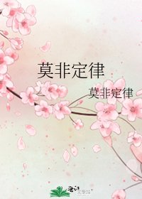 《莫非定律》