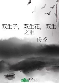 《双生子,双生花,双生之泪》