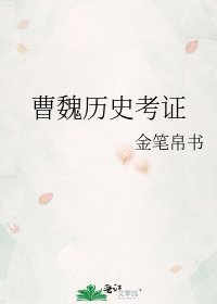 《曹魏历史考证》