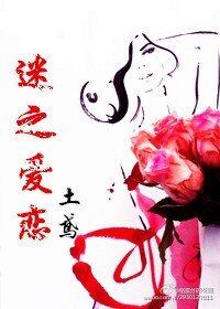 《迷之爱恋》