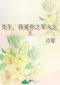 《先生,我爱你之军火之王》