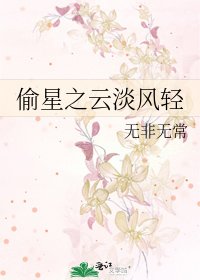 《偷星之云淡风轻》