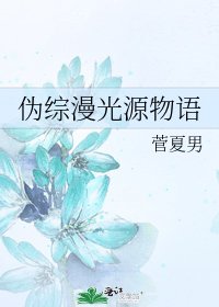 《伪综漫光源物语》