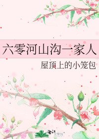 《六零河山沟一家人》