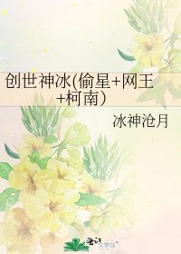《创世神冰(偷星+网王+柯南)》