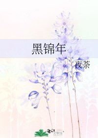 《黑锦年》