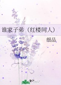 《谁家子弟(红楼同人)》