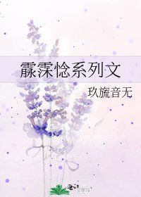 《霡霂惗系列文》