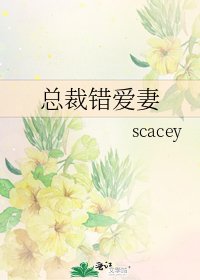 《总裁错爱妻》