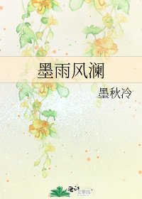 《墨雨风澜》
