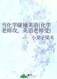 《当化学碰撞英语(化学老师攻,英语老师受)》