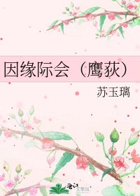 《因缘际会(鹰荻)》