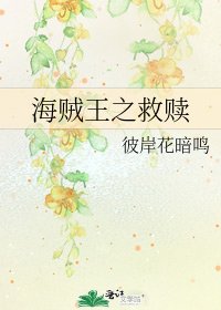 《海贼王之救赎》