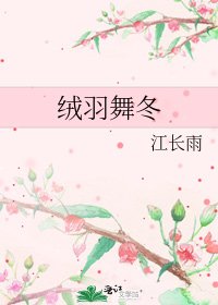 《绒羽舞冬》