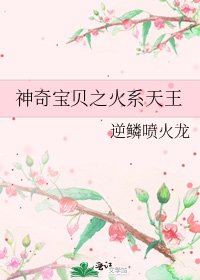 《神奇宝贝之火系天王》