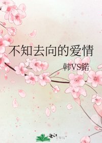 《不知去向的爱情》