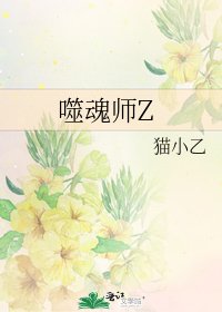 《噬魂师Z》