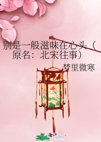 《别是一般滋味在心头(原名:北宋往事)》