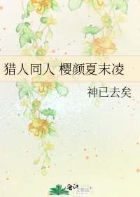 《猎人同人 樱颜夏末凌》