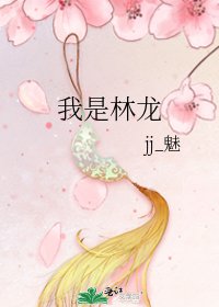 《我是林龙》