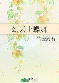 《幻云上蝶舞》