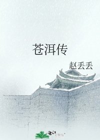 《苍洱传》