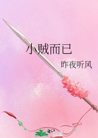 《小贼而已》