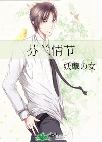 《芬兰情节》