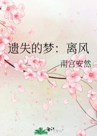 《遗失的梦:离风》
