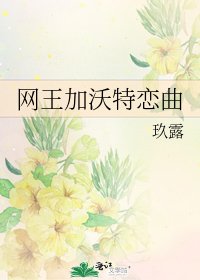 《网王加沃特恋曲》