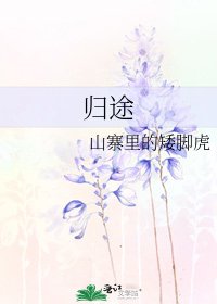 归途