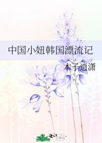 《中国小妞韩国漂流记》