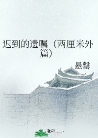 《迟到的遗嘱(两厘米外篇)》