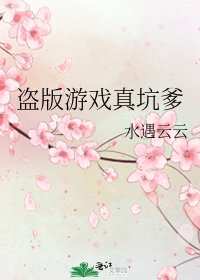 《盗版游戏真坑爹》