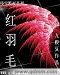 《残雪断夜系列之红羽毛》