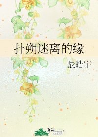 《扑朔迷离的缘》