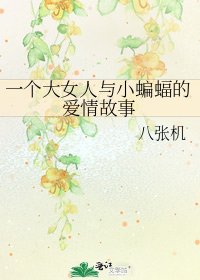 《一个大女人与小蝙蝠的爱情故事》