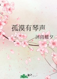 孤漠有琴声