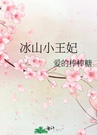 《冰山小王妃》