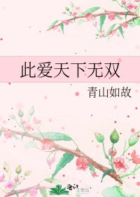 《此爱天下无双》